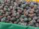  prunes noires